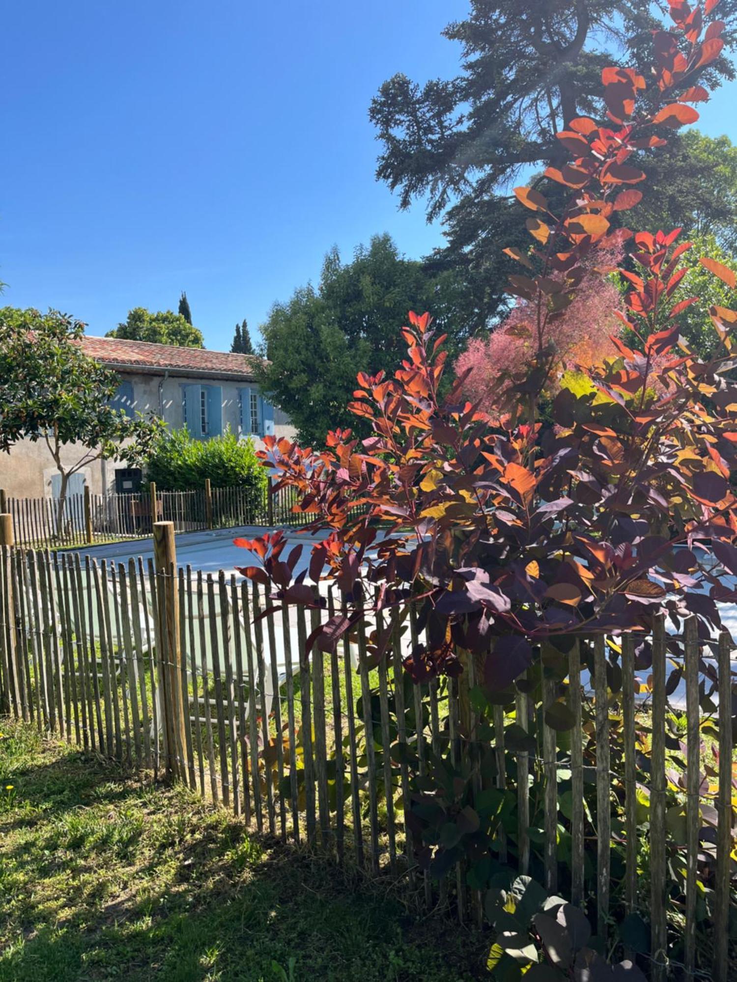 Hébergement de vacances L'orée De La Cité